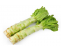 http://qifu99.cn/image/cache/data/1/woju-380x380.png
