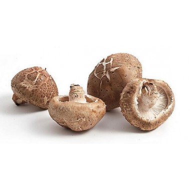香菇約500g
