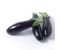 http://qifu99.cn/image/cache/data/77246fef-cc58-45e2-b300-1321846e4806-380x380.jpg