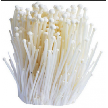  金針菇2000g 