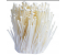 http://qifu99.cn/image/cache/data/jinzhengu-380x380.png