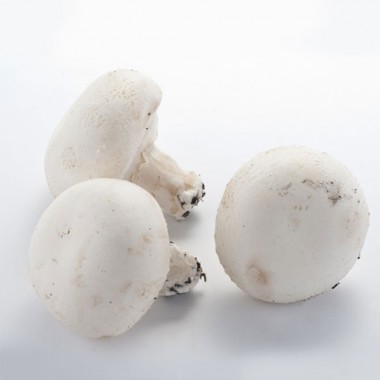 蘑菇約500g 